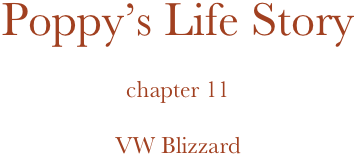 Poppy’s Life Story

chapter 11

VW Blizzard