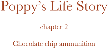 Poppy’s Life Story

chapter 2

Chocolate chip ammunition