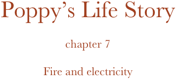 Poppy’s Life Story

chapter 7

Fire and electricity