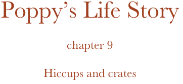 Poppy’s Life Story

chapter 9

Hiccups and crates